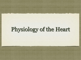 Heart Physiology part 1