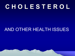 cholesterol myth 2