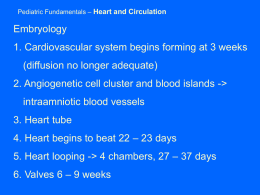 Pediatric Cardiovascular Physiology