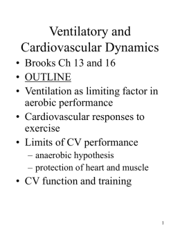 Ventilatory and Cardiovascular Dynamics