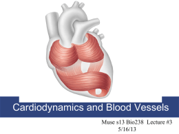 5/14/13 Lecture 3 Blood vessels and cardiodynamics