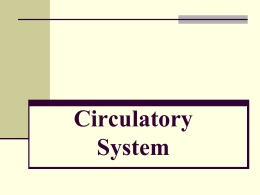 Circulatory System - Baldwin Schools Teachers