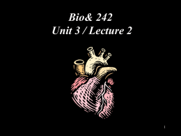 Bio 242 Unit 3 Lecture 2 PP