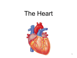 The Heart - Cloudfront.net