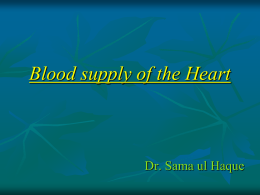 Blood supply of Heart