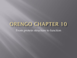 Orengo-10