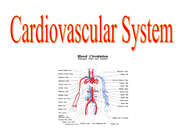 Cardiovascular System and Heart Health