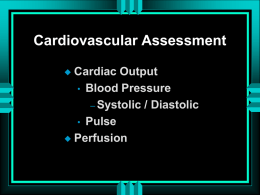 cardiovascular haemodynamics 2