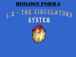 SUB 1.2 – CIRCULATORY SYSTEM_2009c