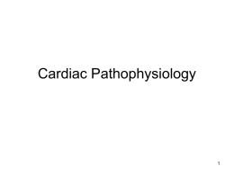 Cardiac Pathophysiology
