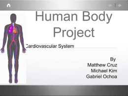 Human Body Project