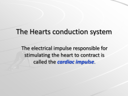 The Hearts conduction system