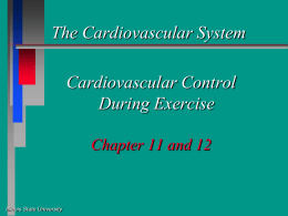 Cardiorespiratory Function and Performance