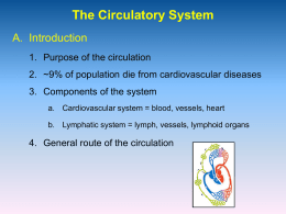 Chapter 9 The Circulatory System