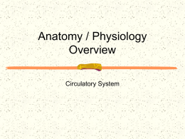 3.Circulatory System - student