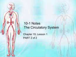 Circulatory System - Ch 10-1 Notes - power point