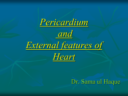 Pericardium - Doctors2Be