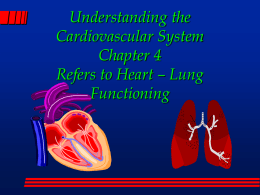 Understanding the Cardiovascular System - A