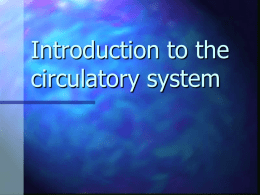 Introduction to the circulatory system