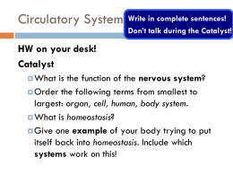 7.2 Circulatory System