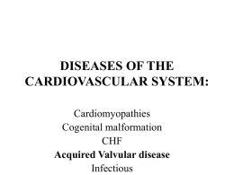 diseases of the cardiovascular system
