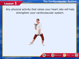 Lesson 1 cardiovascular system