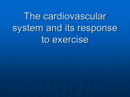 The cardiovascular system and its response to exercise