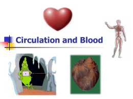 Circulation and Blood