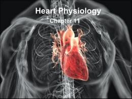 Heart Physiology - Northwest ISD Moodle