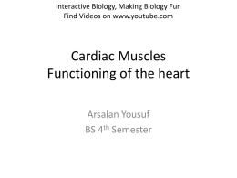 Cardiac Muscles Functioning of the heart
