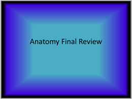 Anatomy Final Review