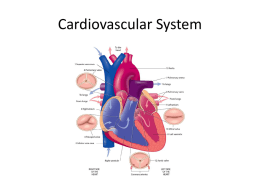 Cardiovascular System Lecture/Notes
