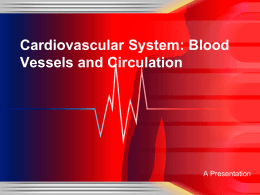 Cardiovascular System: Blood Vessels and Circulation