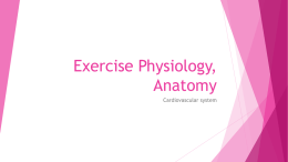 Exercise Physiology, Anatomy