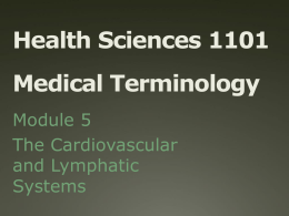 Health Sciences 1101 Medical Terminology