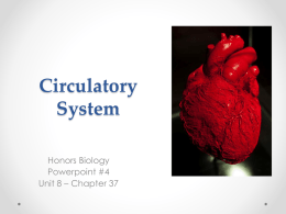 Circulatory and Respiratory System