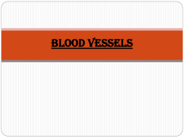 Blood Vessels - cloudfront.net