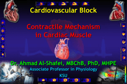 Contractile Mechanism in Cardiac Muscle