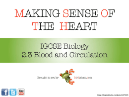 igcse_heart - Help for MYP 4 and 5 Students