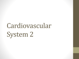Cardiovascular System 2 powerpoint.docx