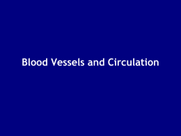 BLOOD VESSELS N CIRCULATIONx