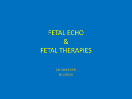 Fetal echo - calicutcardiosr.in