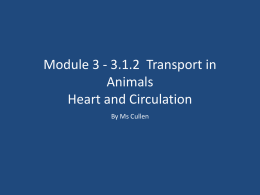 module 3 3.1.2 transport in animals heart and circulationx