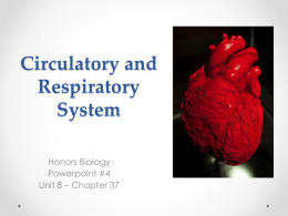 Circulatory System ppt