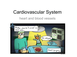 ch_13_the_cardiovascular_systemx