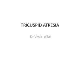 tricuspid atresia _ vivek.ppsx