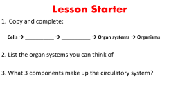 lesson-2-1-the-heart
