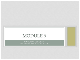 Module 6