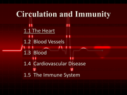 Circulation and Immunity