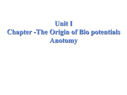 Origin of Bio Potential